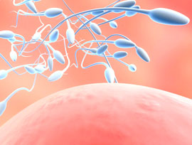 _重慶不(bù)孕不(bù)育醫(yī)院丨重慶哪家(jiā)不(bù)孕不(bù)育醫(yī)院好(hǎo)丨重慶愛德華醫院有限公司