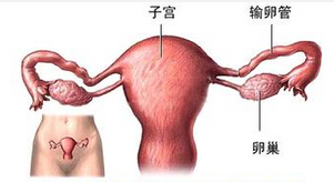 輸卵管炎要(yào)做(zuò)哪些(xiē)檢查