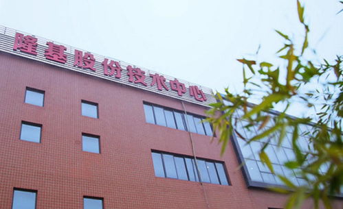 隆基vs中環 誰才是(shì)光(guāng)伏行(xíng)業(yè)的(de)龍頭老(lǎo)大(dà)