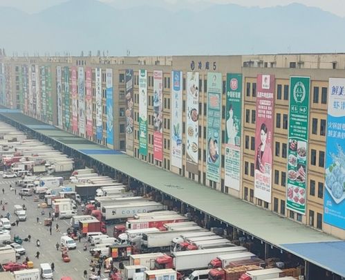 建行(xíng)重慶市(shì)分(fēn)行(xíng) 普惠創新産品助力凍品專業(yè)市(shì)場(chǎng)小(xiǎo)微(wēi)企業(yè)發展