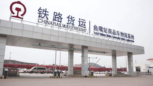 電(diàn)視(shì)通(tōng)稿 國(guó)內(nèi) 經濟 重慶 莫斯科(kē)首列中鐵(tiě)特貨商品車(chē)鐵(tiě)路(lù)運輸專用(yòng)車(chē)試運行(xíng)