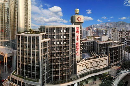 分(fēn)享 仁愛(ài) 求實 進取 創新 重慶三峽中心醫(yī)院腦(nǎo)科(kē)中心