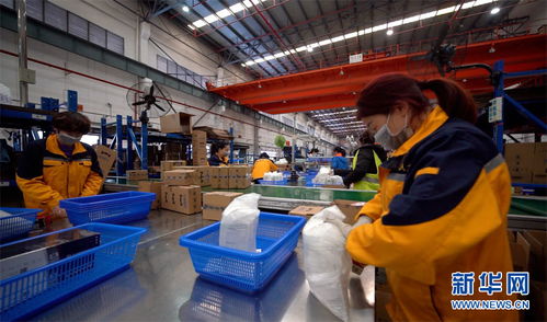 重慶 線上(shàng)消費(fèi)熱(rè)推動跨境電(diàn)商企業(yè)加速複工(gōng)