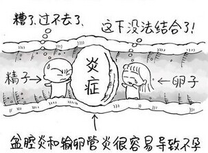 細解輸卵管堵塞的(de)症狀有(yǒu)哪些(xiē)組成的(de)?