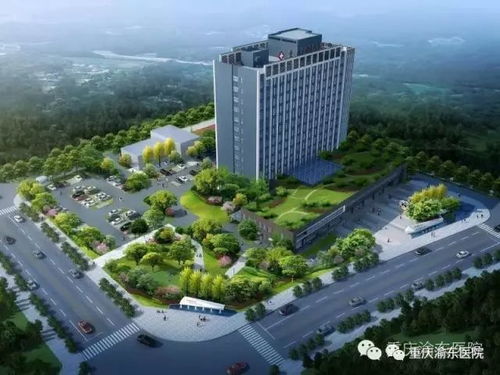 重慶渝東(dōng)醫(yī)院成功舉辦2018年(nián)護士長(cháng)述職和(hé)崗位競聘彙報(bào)會(huì)