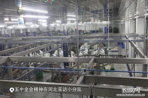 河(hé)北(běi) 從(cóng) 新 出發 創新驿站(zhàn) 科(kē)技(jì)扶貧新模式