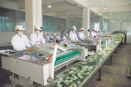 開(kāi)唱(chàng) 三品 大(dà)戲 重慶消費(fèi)品工(gōng)業(yè)要(yào)搞 大(dà)動作(zuò)